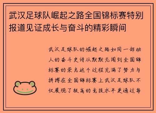 武汉足球队崛起之路全国锦标赛特别报道见证成长与奋斗的精彩瞬间